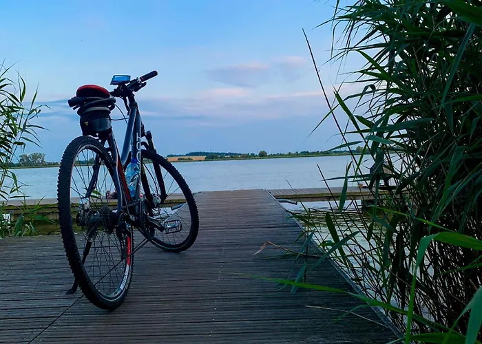 Moana House Laura * Trzesacz